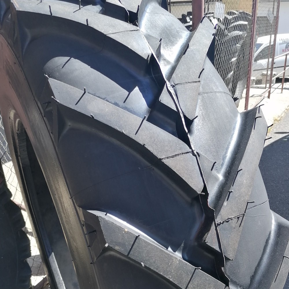 16.9 R30 Radial (420/85 R 30) (PROTEKTOR)