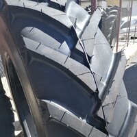 16.9 R30 Radial (420/85 R 30) (PROTEKTOR)