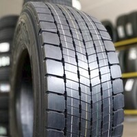 295/80 R22,5 ETD100 LingLong (Srbsko)